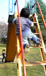 101108_1258~01.JPG