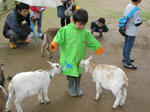 IMG_2955.JPG