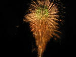 IMG_3672.JPG