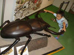 P8300046.JPG