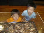P8300050.JPG