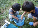34744e66.jpg