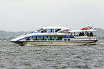 5891c917.jpg