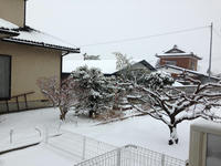 雪1
