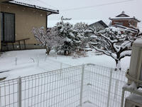 雪2