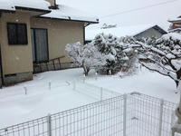 雪3