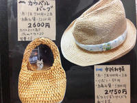 Como本6