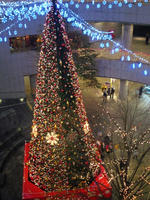 IMG_1010-small.JPG