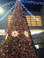 IMG_1014-small.JPG