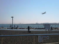 IMG_1026-small.jpg