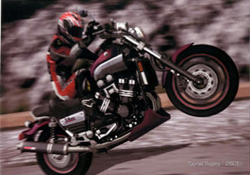 TT01.jpg