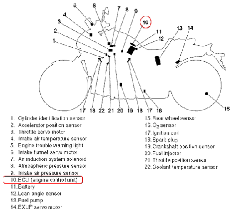 FIsystem.gif