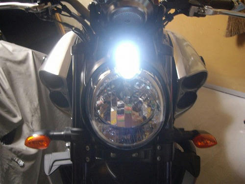 IMGP0803.jpg