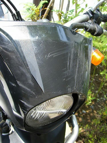 serow01.jpg