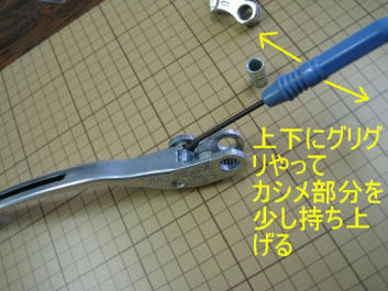 7217710d.jpeg