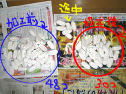 kutu01.jpg