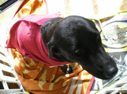 IMGP0959.jpg