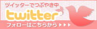 NIDANGIRIのtwitter