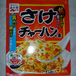 20100504-1.JPG