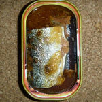 20100516-2t.JPG