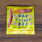 P1040664.JPG