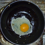 P1060014.JPG