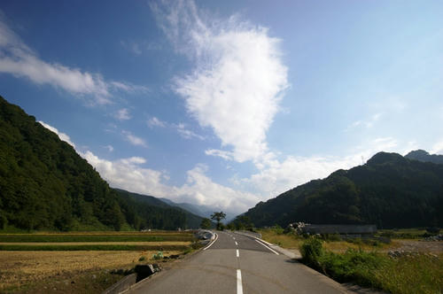 Katagai Liver 06