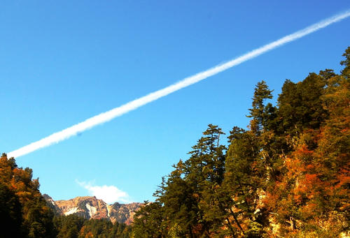 Flight _print