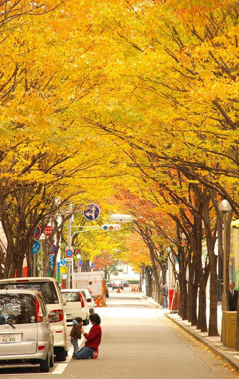 Bye_Autumn
