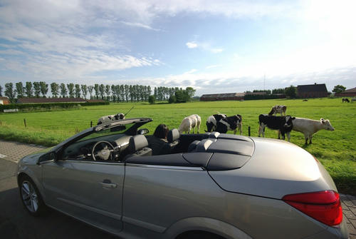 Opencar