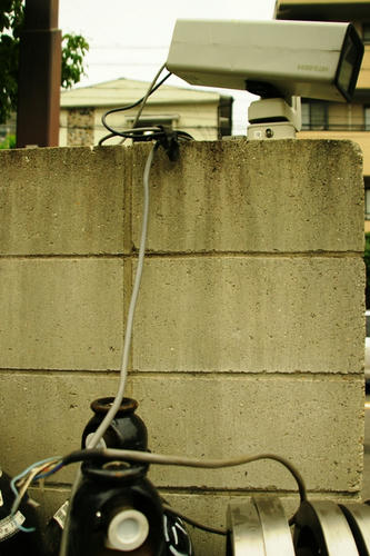 IMGP1223.jpg