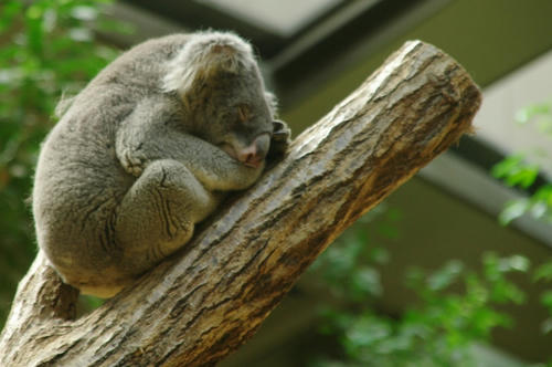 IMGP5619.jpg