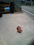 CA3D0025.jpg