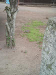 CA3D0172.jpg