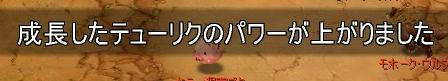 7766123b.jpeg