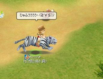 c8220701.jpeg
