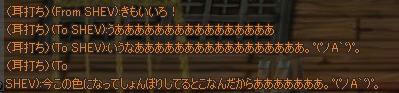 6575183d.jpeg