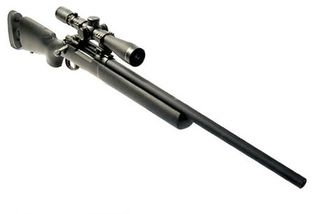 caw_m24.jpg