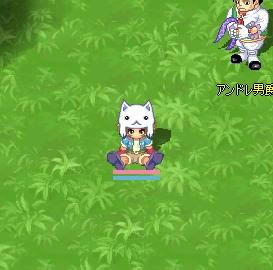 fe1f1255.jpeg