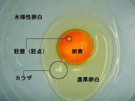 t-gazo04.jpg