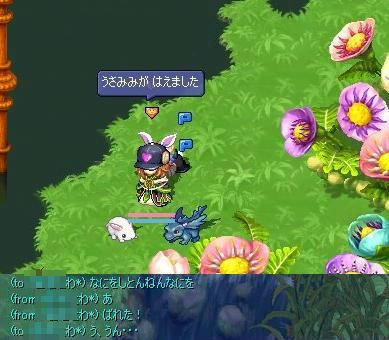 screenshot0088.jpg