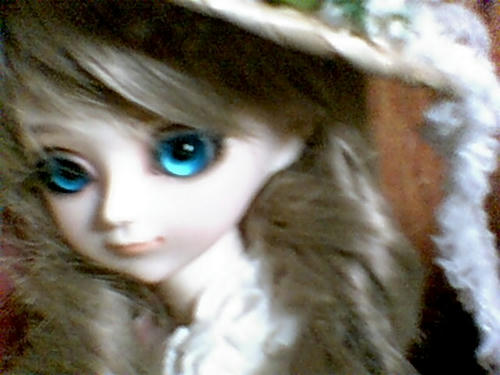 photo017.jpg