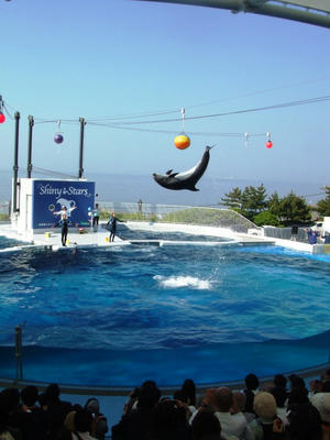 DSCF8689.JPG