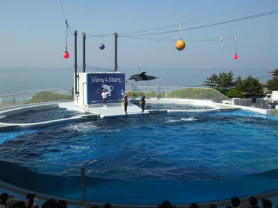 DSCF8683.JPG