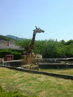 DSCF8639.JPG