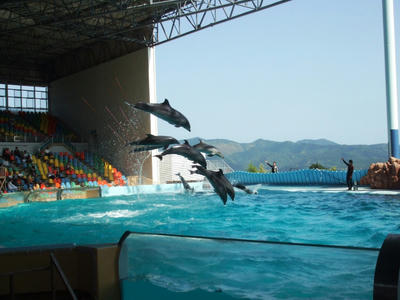 DSCF8765.JPG