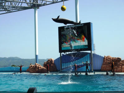 DSCF8759.JPG