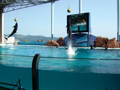 DSCF8750.JPG