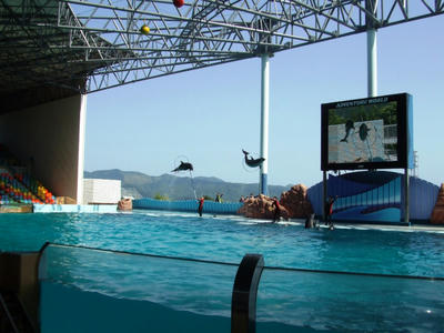 DSCF8758.JPG