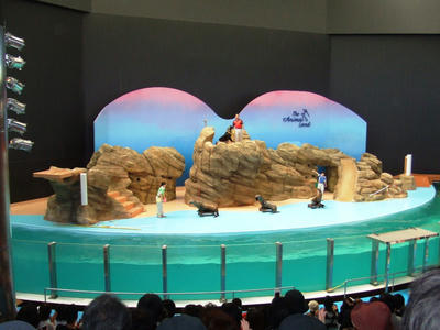 DSCF8748.JPG